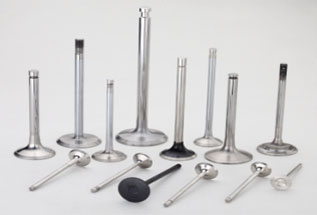 Different types of engine valves